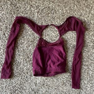 Mesh long sleeved crop